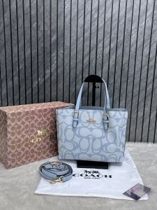 Coach_Mollie_25_Tote_Premium_Highend_With_OriginalBox_Packing