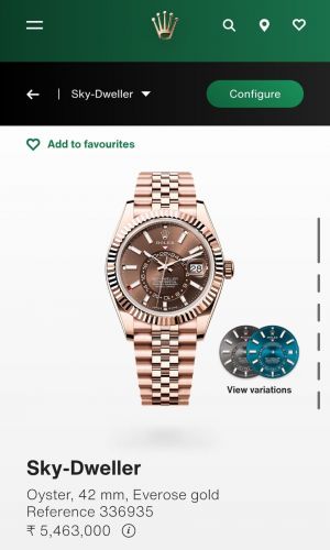 Role_x Oyster perpetual Sky Dweller