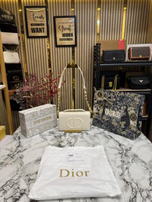 Christian_Dior_Caro_Logo_Shoulder_Bag_With_Box_And_Dust_Bag_Including_Carry_Bag_(Beige)