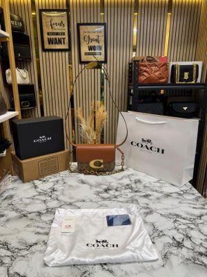 Coach_Idol_Bag_Signature_Shoulder_Bag_With_Double_Og_Box_And_Dust_Bag_Including_Carry_Bag_(C339-Brown)