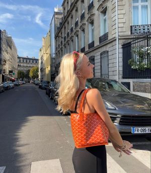 Goyard Mini Anjou Tote With Wallet & Original Dust Cover