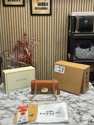 Coach_Eliza_Flap_Crossbody_Bag_With_Double_Og_Box_And_Dust_Bag_(Brown)