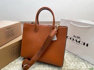 Coach_Ace_Tote_Bag_Carryall_With_Box_And_Dust_Bag_(White)