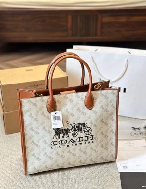 Coach_Ace_Tote_Bag_Carryall_With_Box_And_Dust_Bag_(6797-Horseferry)