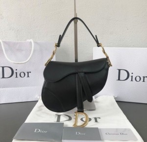 _Christian_Dior_saddle_with_box_155