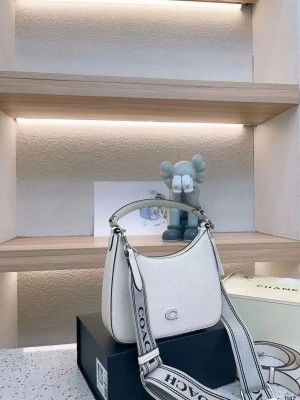 _Coach_hobo_crossbody_bag_with_og_box(white)