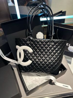 Chanel_handbag premium quality with dust bag
