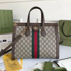Gucci_ gg_ophidia_big_totebag_with_dust_cover