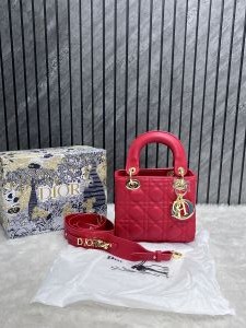 Dior_Lady_Medium_Handbag_With_OriginalBox_DustCover