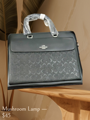 Coach_Laptop bag with dust cover premium quality 