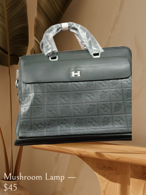 Hermes_Laptop bag with dust cover premium quality 