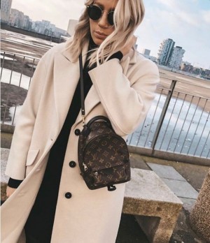 Louis_Vuitton_palm_springs_mini_with_box_bill725