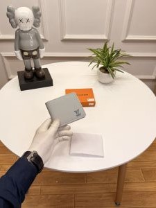 Louis_vuitton_lv_mens_wallet_with_ogbox_etc_ea93